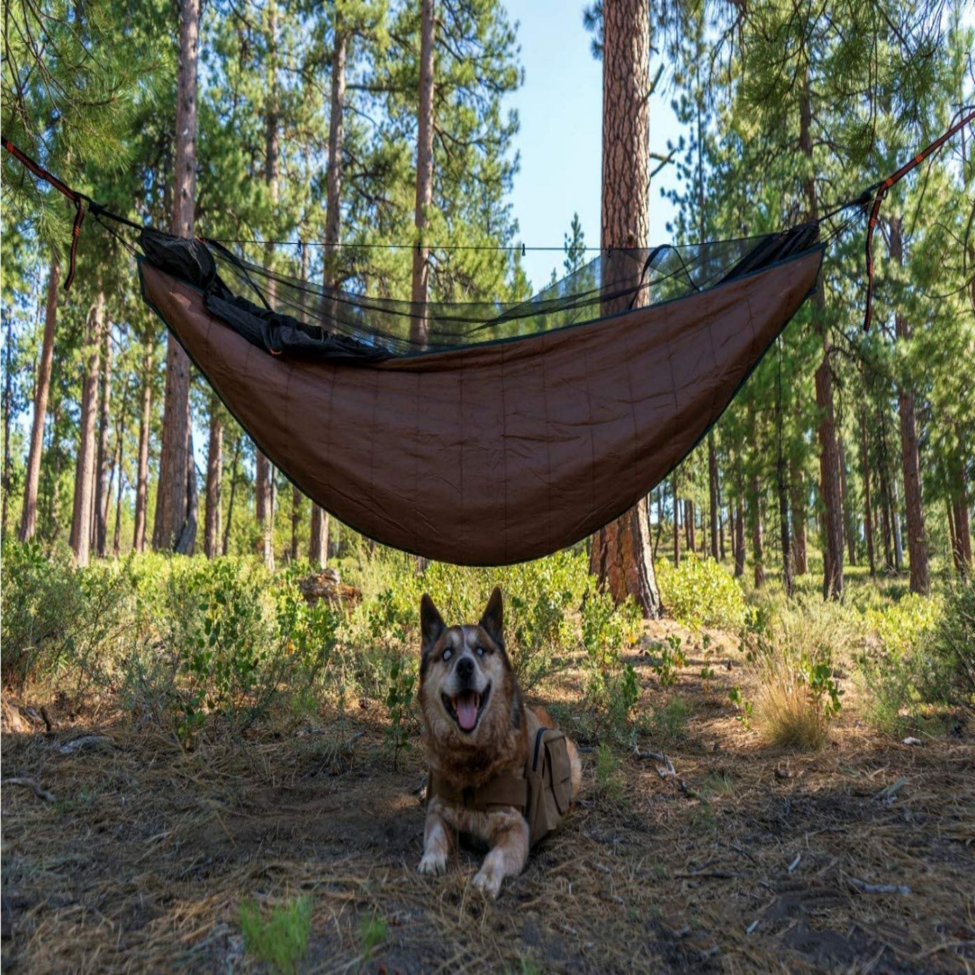 Hammock For Backpacking Camping Item No#30437 - Image 4