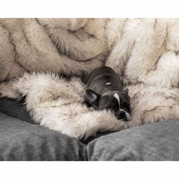 Shaggy Plush Dog Blanket Item No#30468 - Image 3