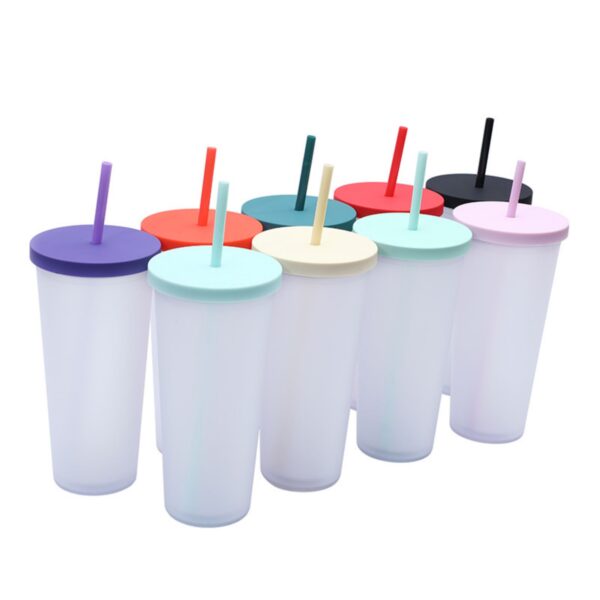 24Oz Frosted Double-Layer Straw Cup Item No#30512