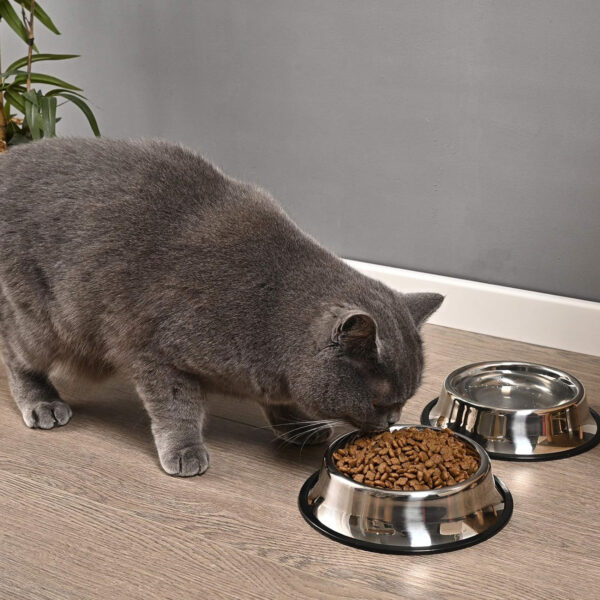 Stainless Steel Dog Bowl With Anti-Skid Rubber Base Item No#30015 - Image 4