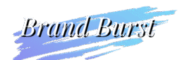 Home | Brand Burst Inc