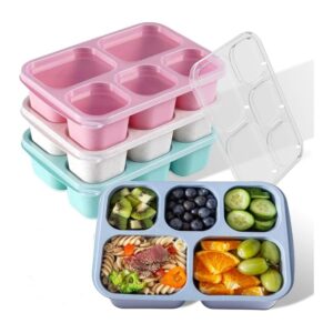 5-Compartments Lunch Box Item No#31477
