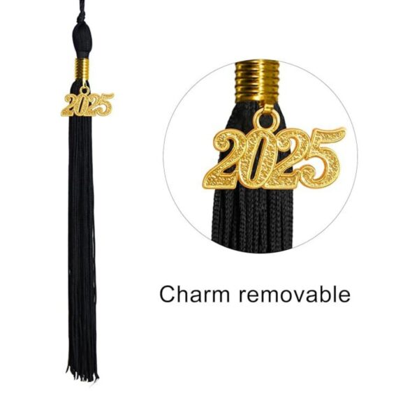 Graduation Cap With 2025 Tassel Item No#31716 - Image 4