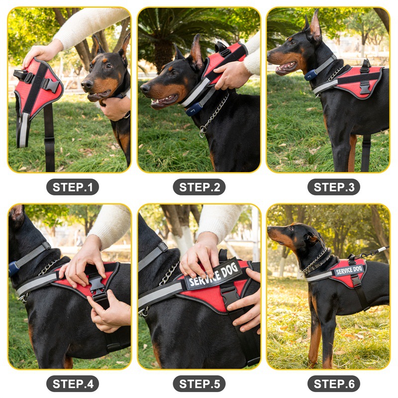 Pet Harness With Handle For Outdoor Walking Item No#30001 - Image 5